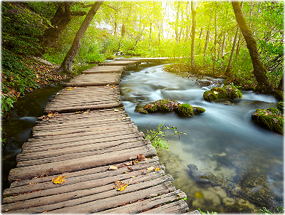 Oftmals können Krisen durch den Einsatz effektiver Verfahren in einer Kurzzeitthapie gemeinsam gelöst werden.