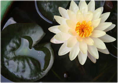 Wirkungsvolle Hynotherapie in der Psychologischen Praxis Freiburg